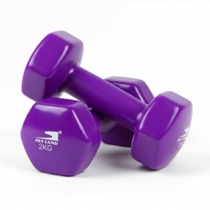 4kg Vinyl Dumbbell Set (2kg x 2) - Purple Anti-Roll Hex