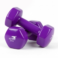 6kg Vinyl Dumbbell Set (3kg x 2) - Purple Anti-Roll Hex