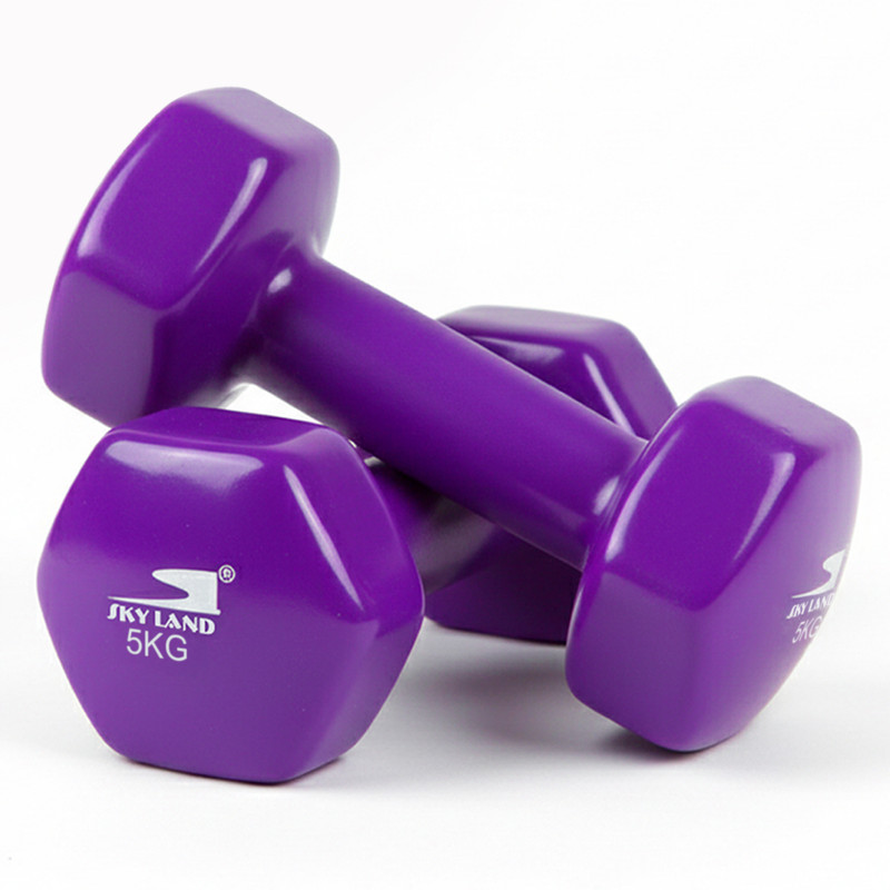 10kg Vinyl Dumbbell Set (5kg x 2) - Purple Anti-Roll Hex