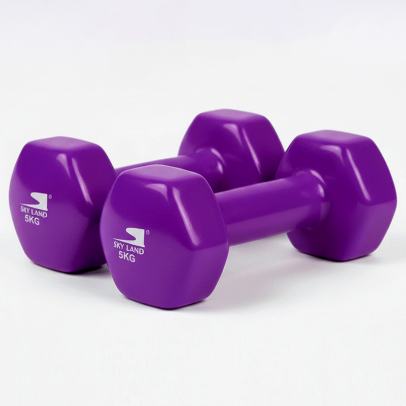 10kg Vinyl Dumbbell Set (5kg x 2) - Purple Anti-Roll Hex - Image 2