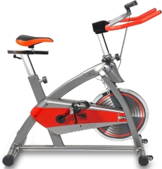 Spin Bike for Home Gym | 10kg Flywheel, Adjustable Resistance & Seat | Stationary Exercise Bike with LCD Monitor, Silent Belt Drive, and Comfortable Cushion, EM-1544