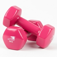 10kg Vinyl Dumbbell Set (5kg x 2) - Pink Anti-Roll Hex