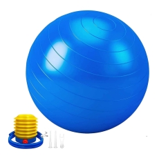 SKY LAND Anti-Burst Yoga Exercise Ball with Pump | 65cm Slip-Resistant Balance Ball for Pilates, Yoga, Pregnancy, and Fitness Workouts | Supports up to 200kg